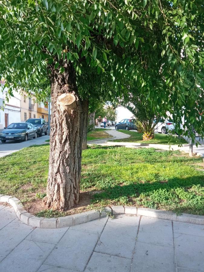Apartamento San Miguel Baena Bagian luar foto
